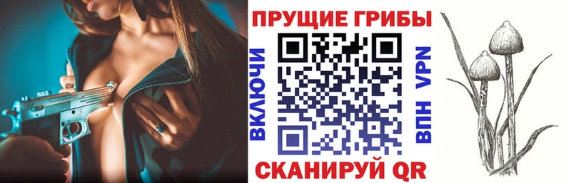 Галлюциногенные грибы Cubensis  Новодвинск 